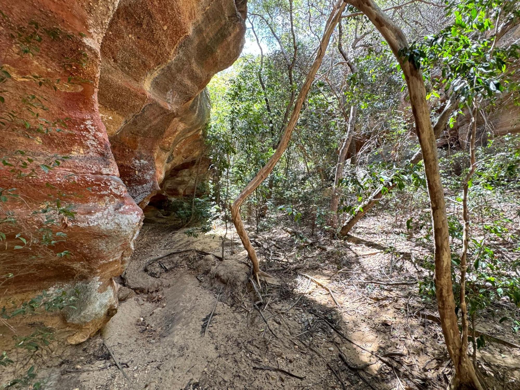 Casa Barreirinho Parque Nacional Serra Da Capivara Coronel Jose Dias Luaran gambar