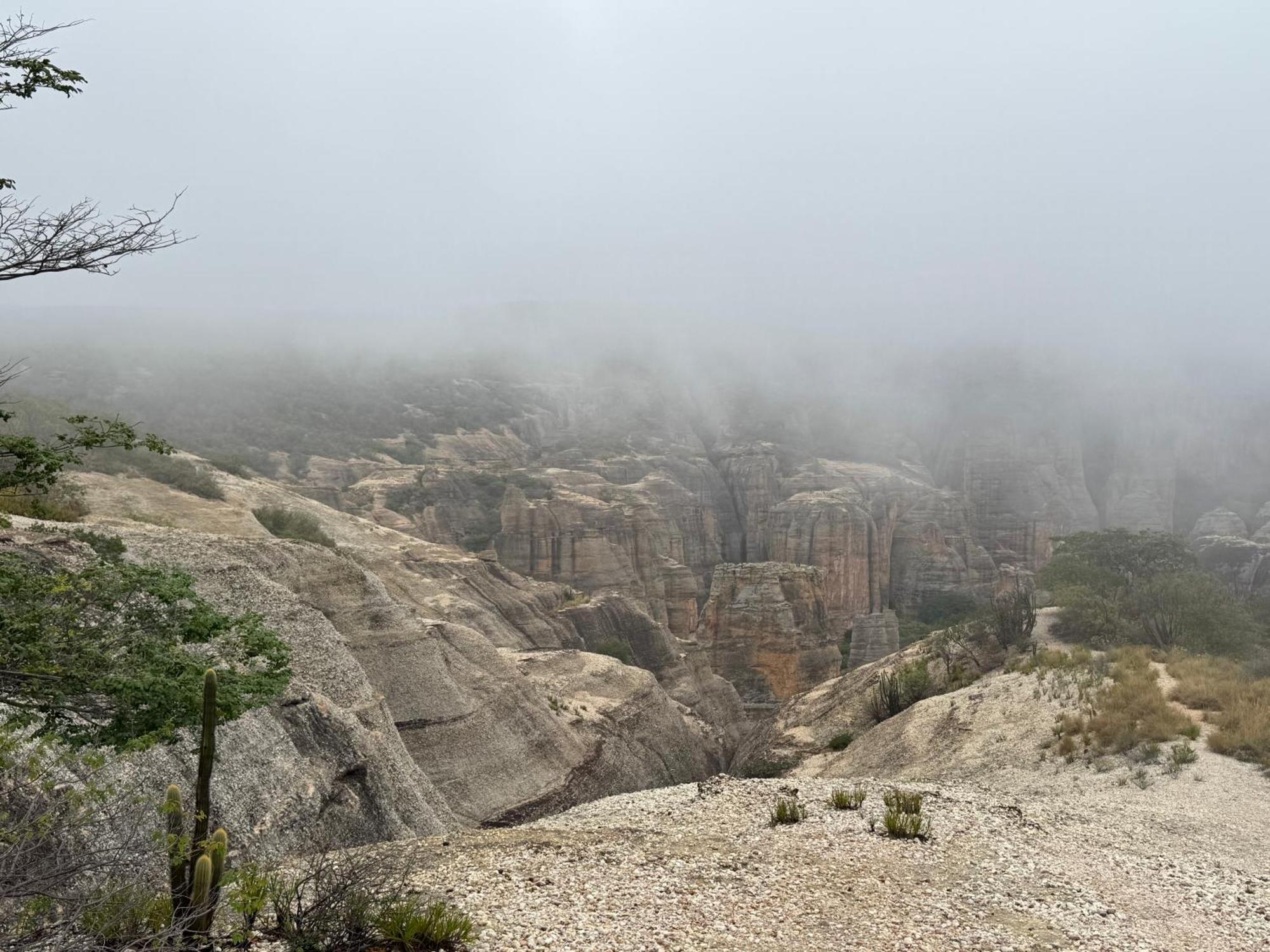 Casa Barreirinho Parque Nacional Serra Da Capivara Coronel Jose Dias Luaran gambar