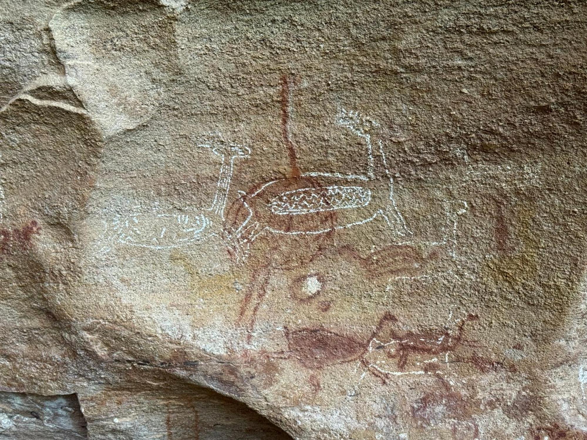 Casa Barreirinho Parque Nacional Serra Da Capivara Coronel Jose Dias Luaran gambar