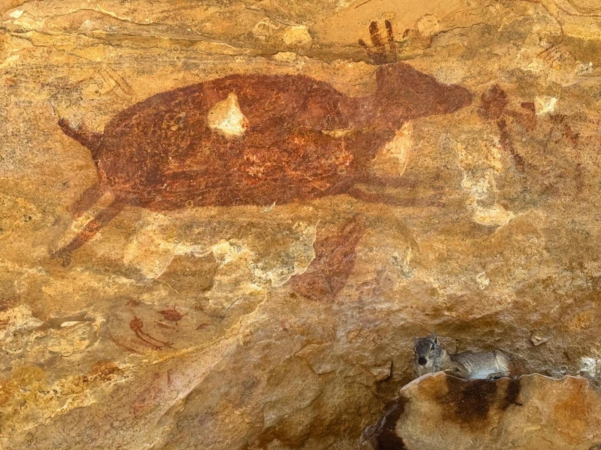 Casa Barreirinho Parque Nacional Serra Da Capivara Coronel Jose Dias Luaran gambar